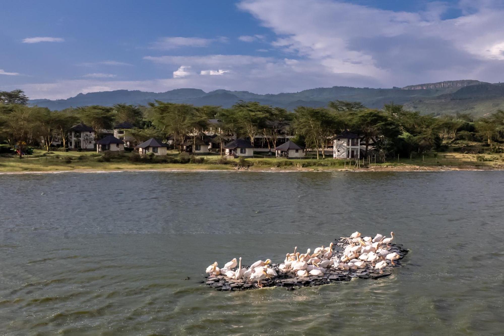 Sentrim Elementaita Lodge Elmenteita Εξωτερικό φωτογραφία
